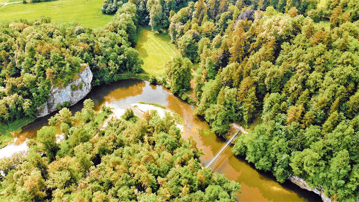 Thementag im Fürstlichen Park Inzigkofen Schwäbischer Verlag