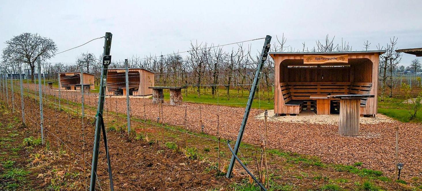 Wein- und Obsthof Rüdlin in Auggen eröffnet eigene Vinothek -2