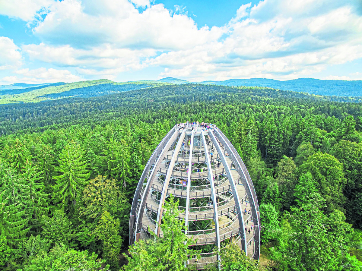 Der Bayerische Wald – 900 km2 Freiheit