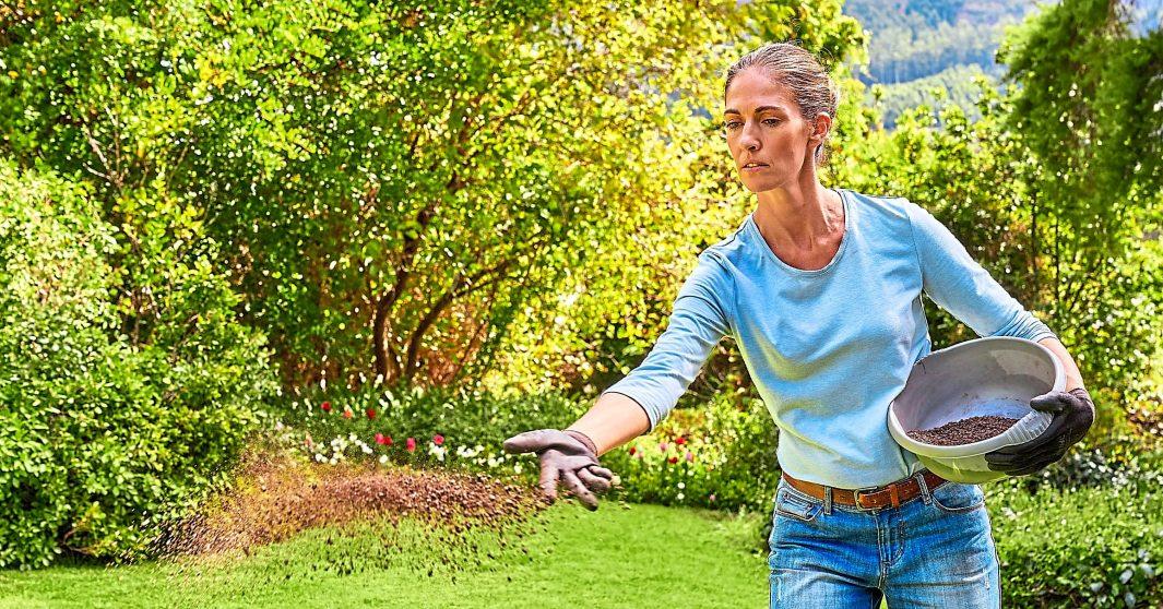 Zum Start in die neue Saison schafft eine Frühjahrsdüngung die Basis fürs nachhaltige Wiederergrünen. Foto: djd/Stihl