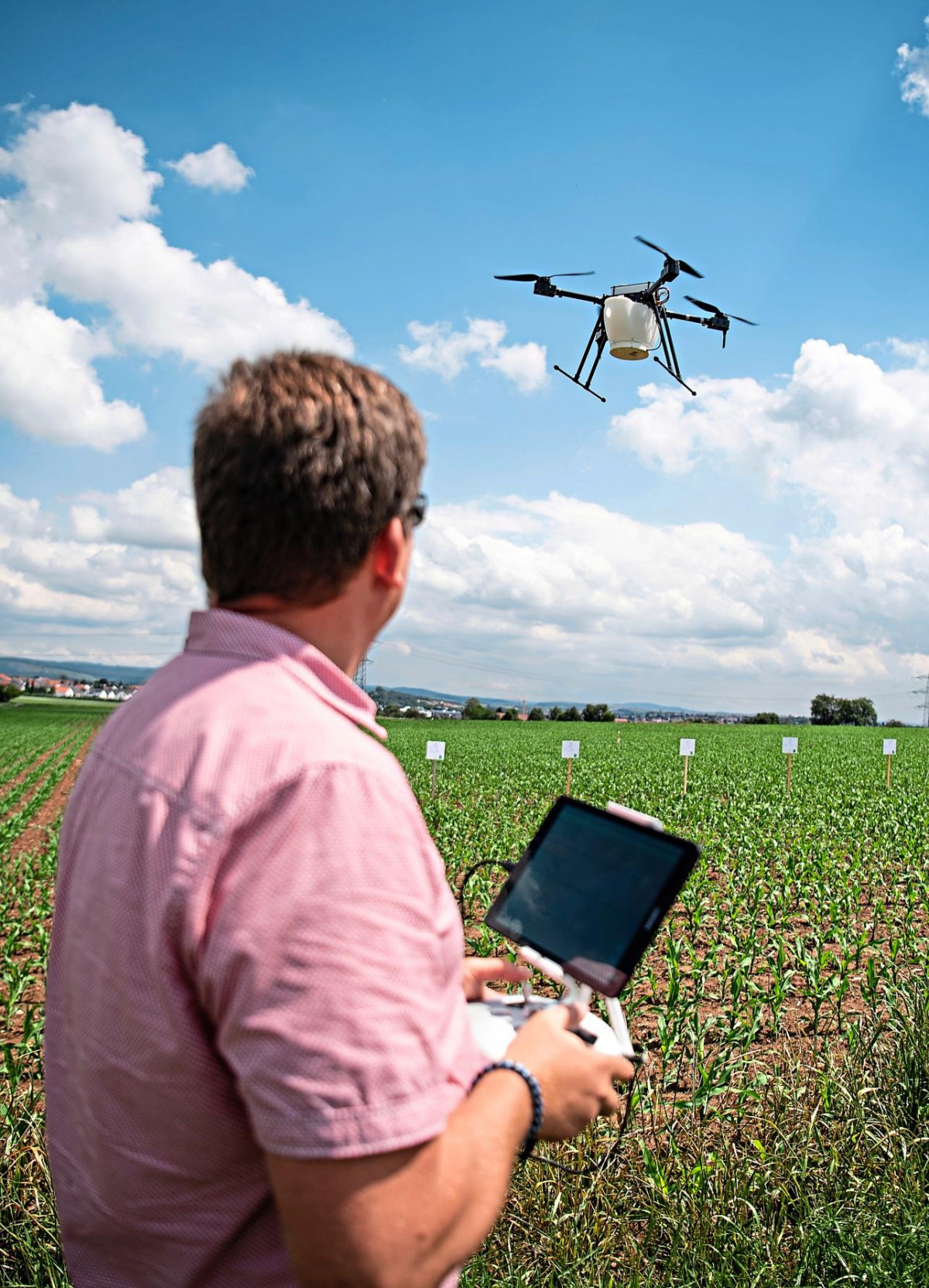 Drohnen können bei der Schädlingsbekämpfung etwa beim Maisanbau helfen. Foto: Fabian Sommer/dpa