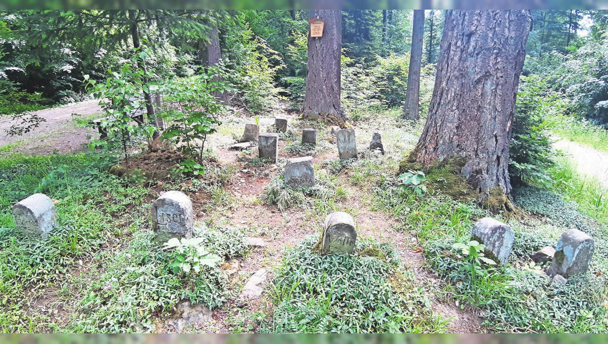 Der Friedhof der Jagdhunde