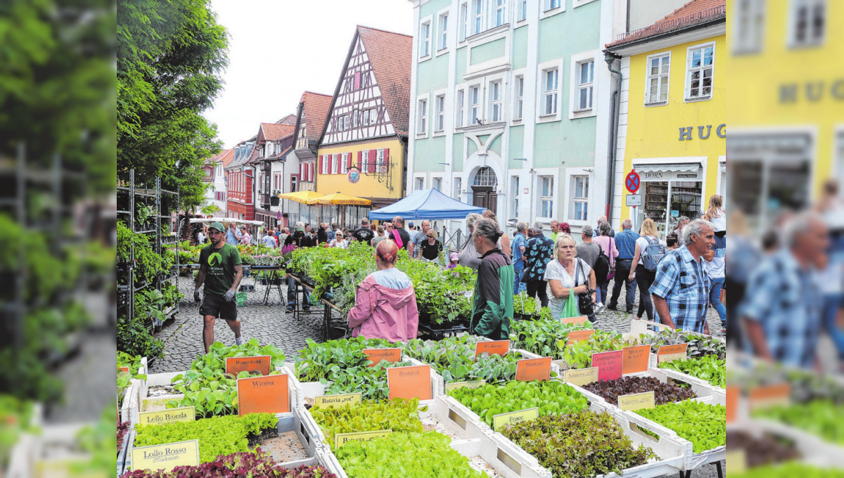 Bummeln, shoppen und Geselligkeit in Bad Windsheim