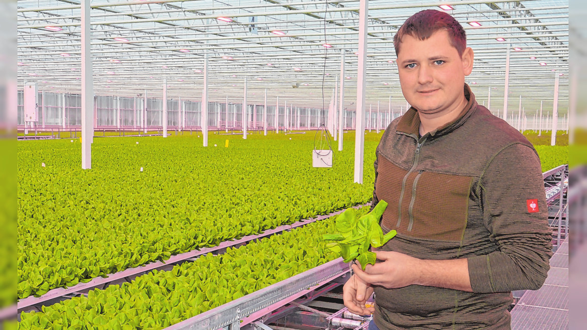 Scherzer Gemüse GmbH in Nürnberg: Nachhaltigkeit spielt eine sehr wichtige Rolle