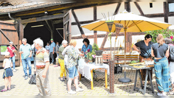 Marktplatzfest "Unter der Linde":  Markttreiben und "KunstHandwerk"