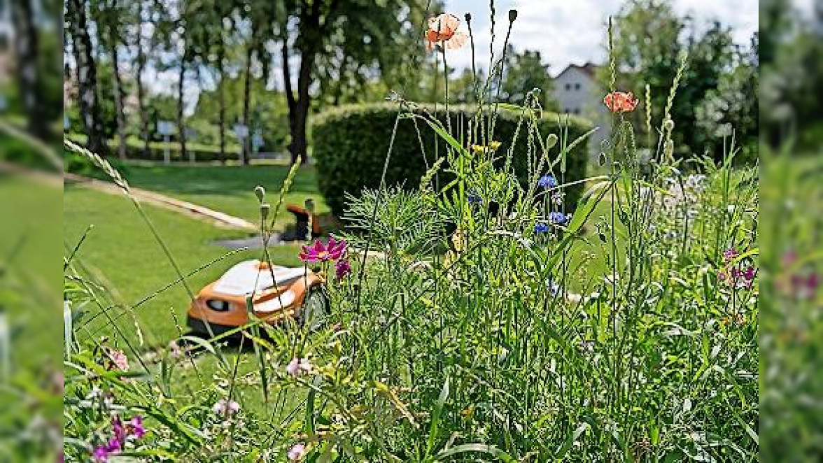 Ein tier- und insektenfreundlicher Garten