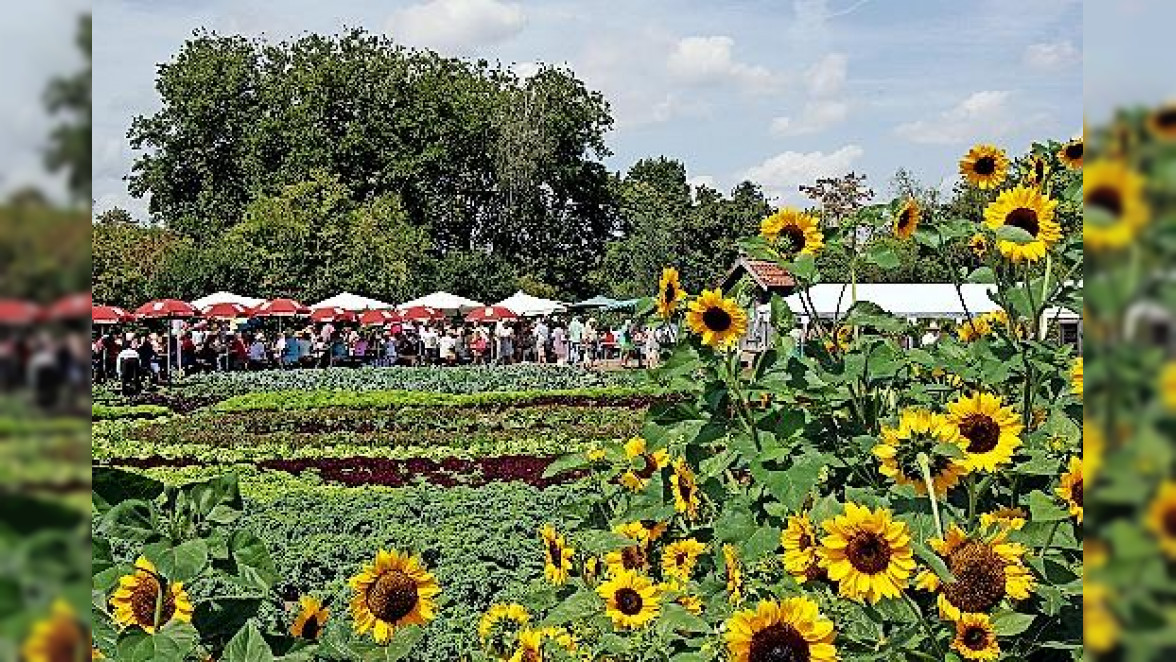 9. Gärtnerfest in Etwashausen