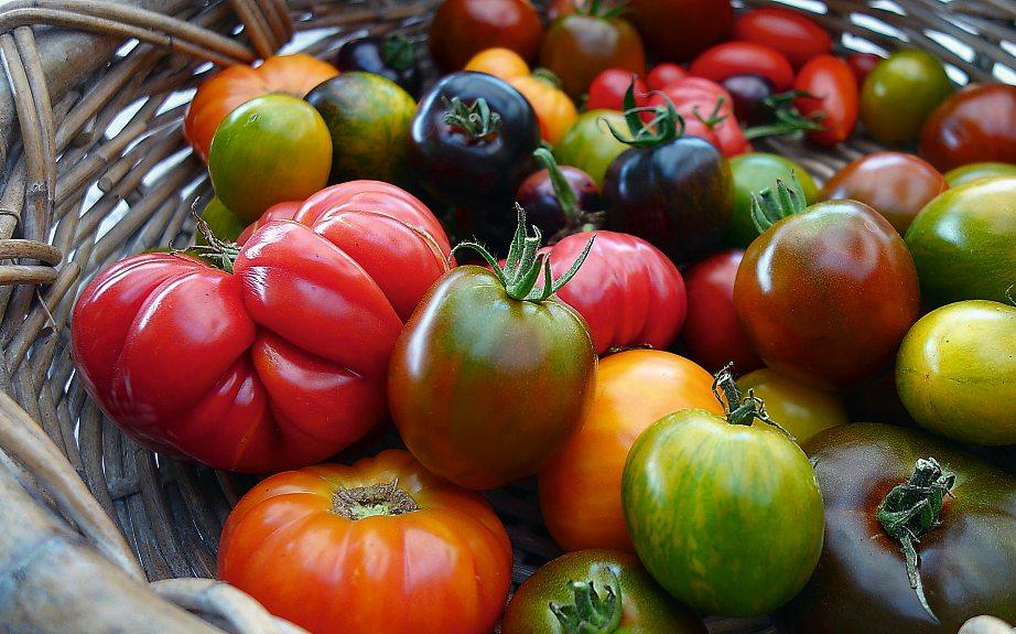 Die besten Vitalsnacks im Herbst-2