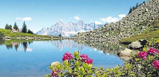 Hüttengenuss auf vier Bergen: Kaibling, Planai, Hochwurzen und Reiteralm-4