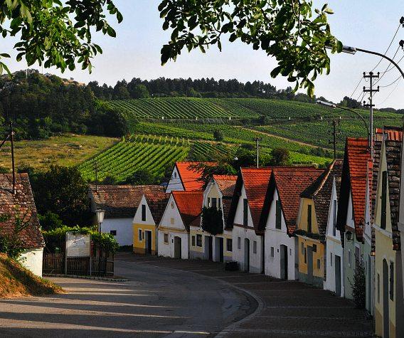 Herbstzeit ist auch „Weinzeit“﻿-3