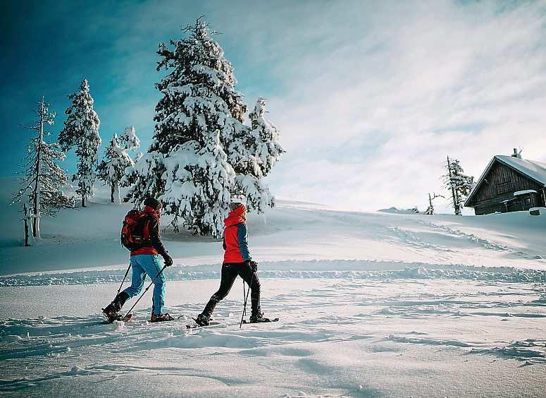 Ein Winter auf der Sonnenseite﻿-3