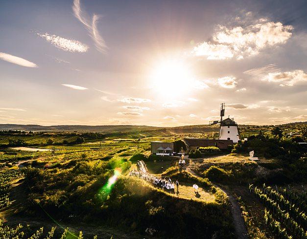 Herbstzeit ist auch „Weinzeit“﻿-7