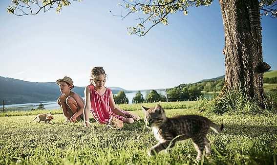 Urlaub auf dem Bauernhof -2