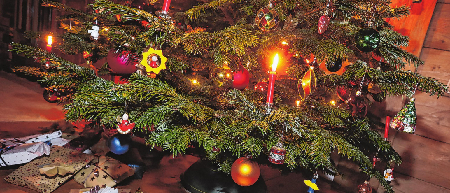 Begleiter in der Weihnachtszeit-2