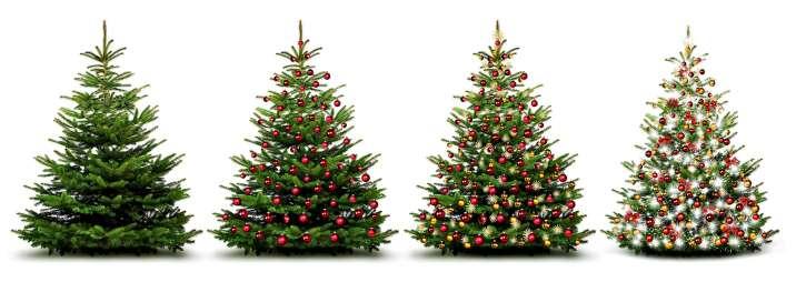 Wie sieht der ökologisch korrekte Weihnachtsbaum aus?