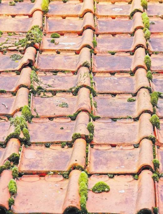 Dachcheck – Das Dach sichern