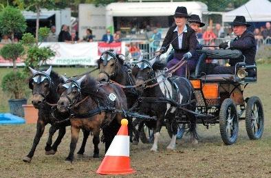 ASCANIA Pferdefestival in Aschersleben: Sportereignis und Familienfest ist vorbereitet