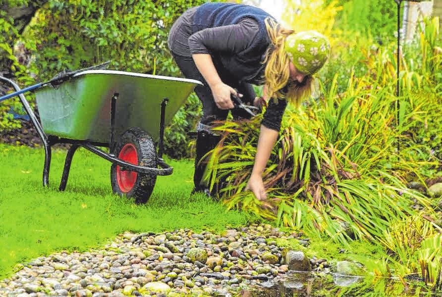 Herbstkur für den Gartenteich Schwäbischer Verlag