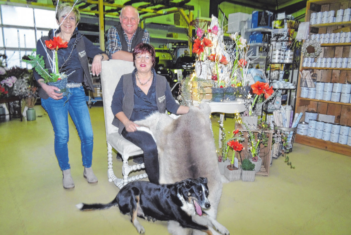 Weihnachtstreff bei Stangen-Schmid in Ostrach - Schwäbischer Verlag