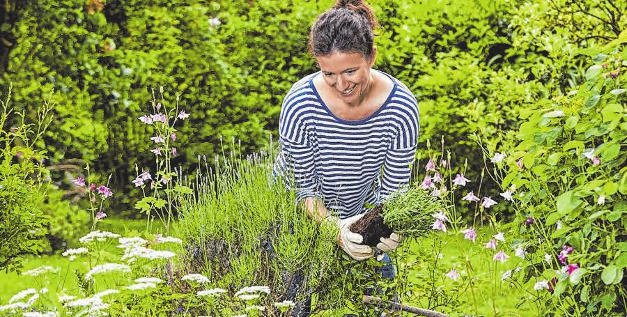 Kleiner Garten groß in Form Schwäbischer Verlag