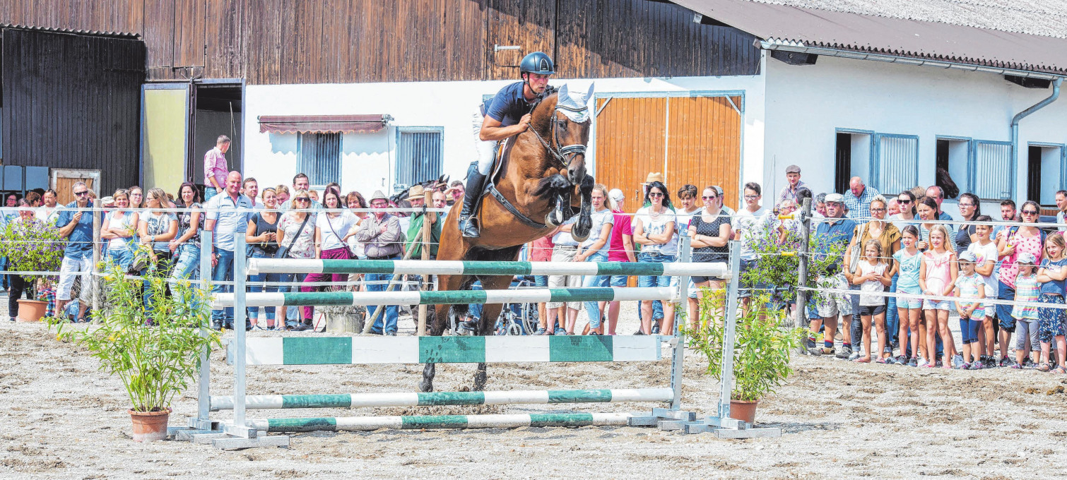 JörgesauRiedlingen: Hoffest bei Maier & Reiterflohmarkt - Schwäbischer  Verlag