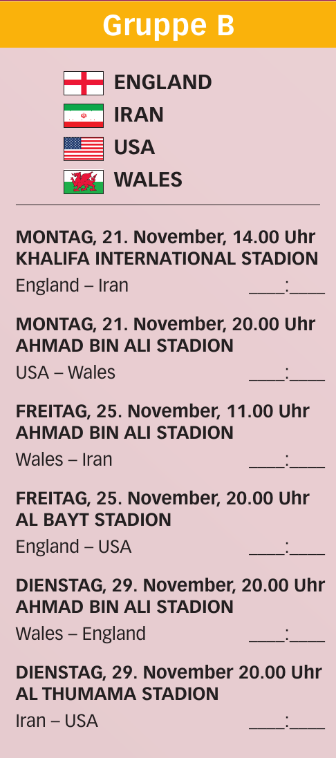 Fussball-Weltmeisterschaft 2022-5