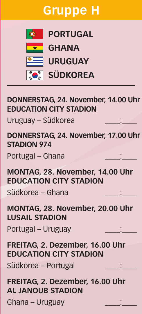Fussball-Weltmeisterschaft 2022-11