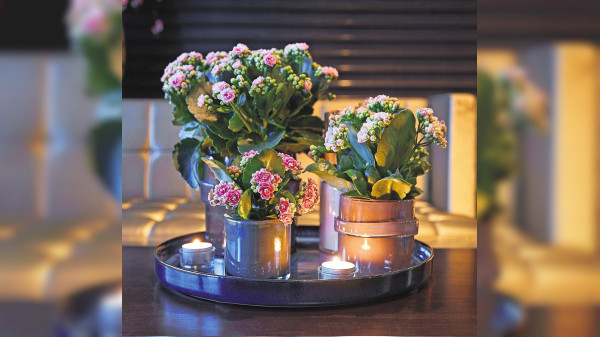Mit Blüten und Kerzenschein