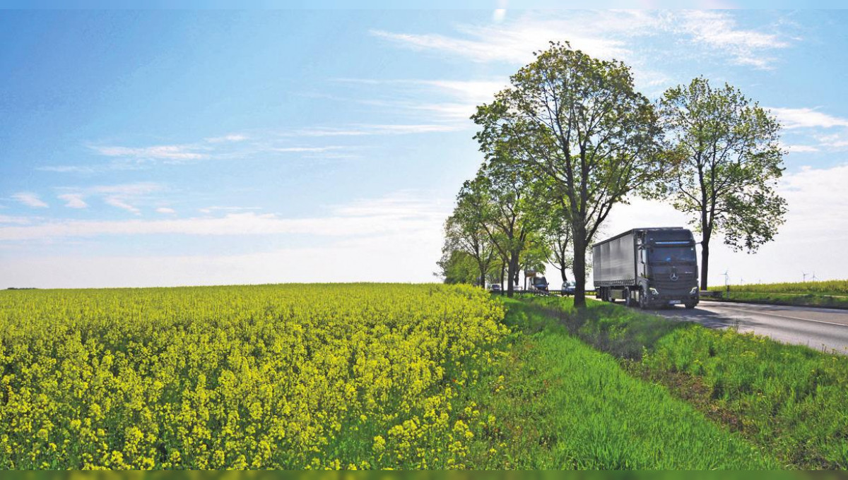 Viele Wege zum Klimaschutz