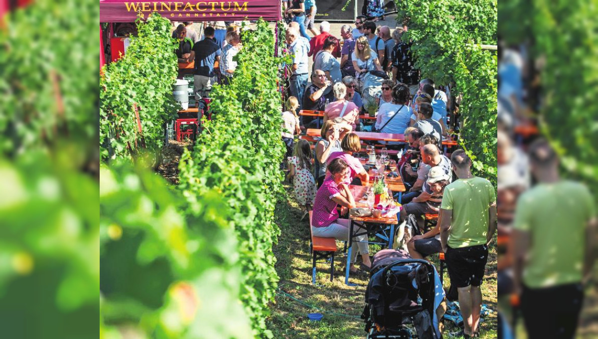 Genießen in steilen Lagen: Weinfest Stuttgarter Steillagentage 2022 in Mühlhausen 