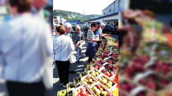 10. Hausener Bauernmarkt am 10. September 2023