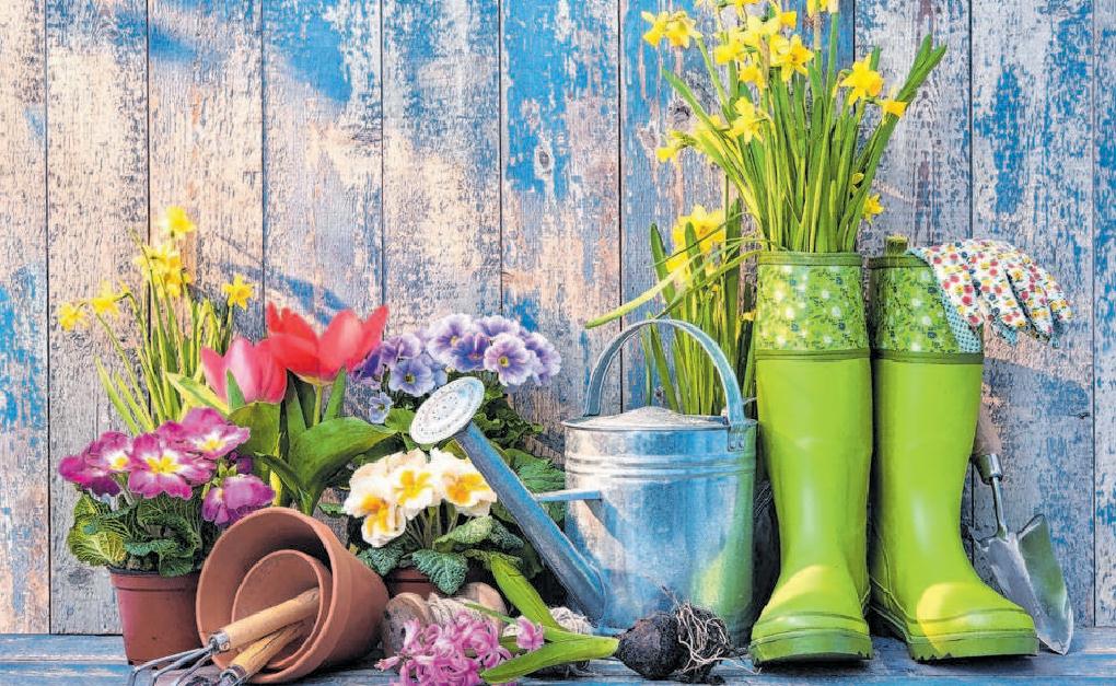 So schmeckt der Frühling-4