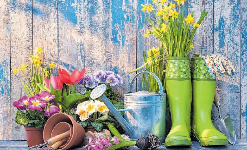 So schmeckt der Frühling-3
