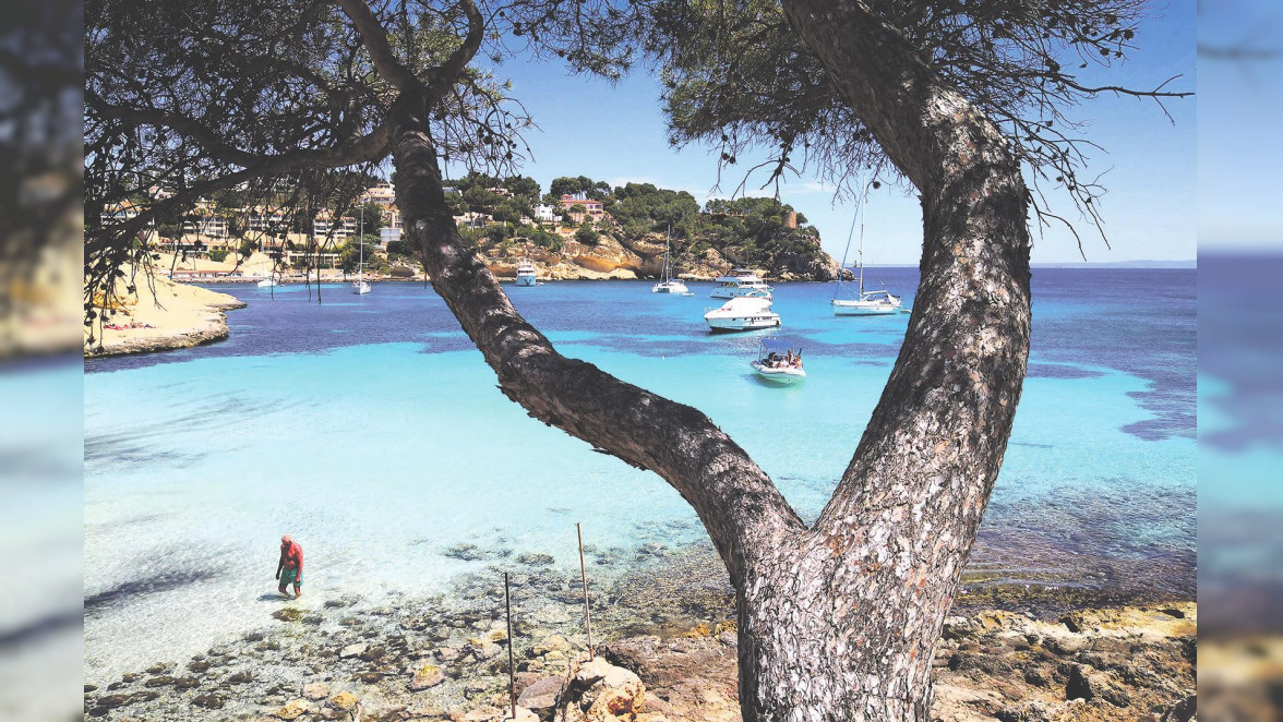 Traumhaftes Mallorca: Die „Drei-Finger-Bucht“ (Cala de Portals Vells) befindet sich am Südzipfel der Insel und gehört zur Gemeinde Calvía. Sie erstreckt sie sich über drei kleine Sandstrände, die mit türkisblauem Wasser begeistern Foto: Sven Ehricht