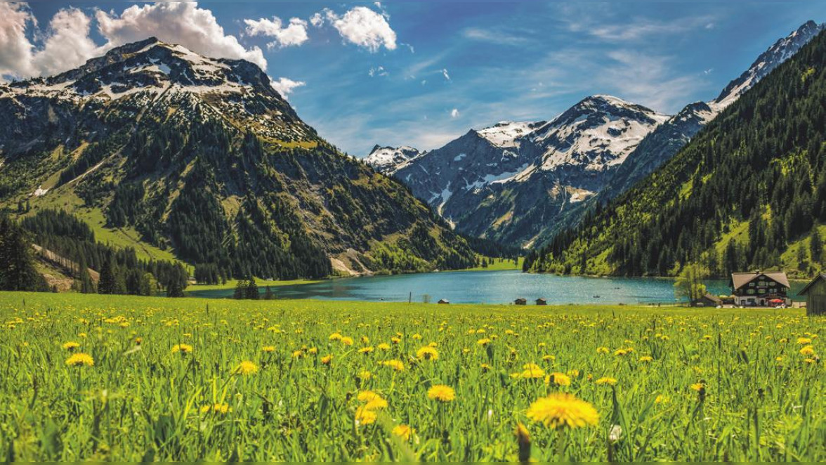 Frühlingswiese am Vilsalpsee. Foto: Shutterstock | DM-Media