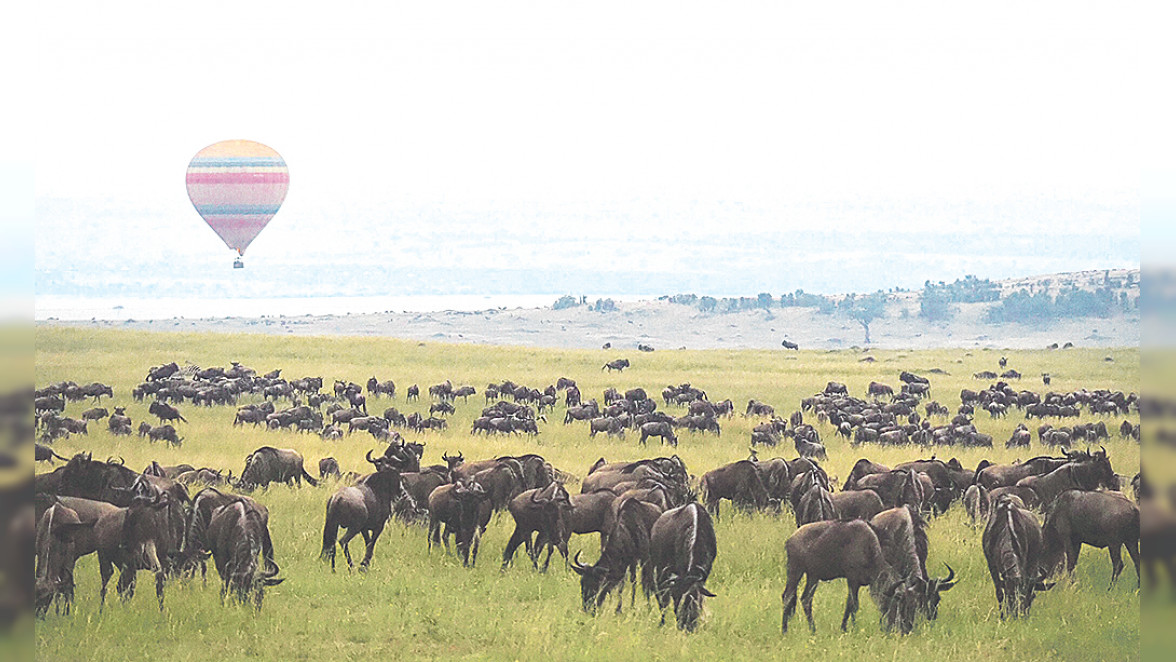 Ob eine Ballonfahrt über der Masai Mara, ein Besuch des Opernhauses in Sydney oder Chillen am Strand in Thailand – alle individuellen Reisebausteine sind bei Explorer Fernreisen kombinierbar. Fotos: Explorer Fernreisen