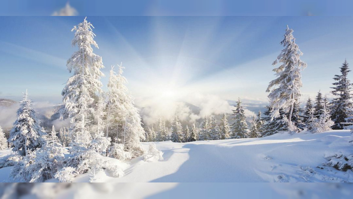 Der Winter von seiner schönsten Seite. Foto: Shutterstock | Creative Travel Projects