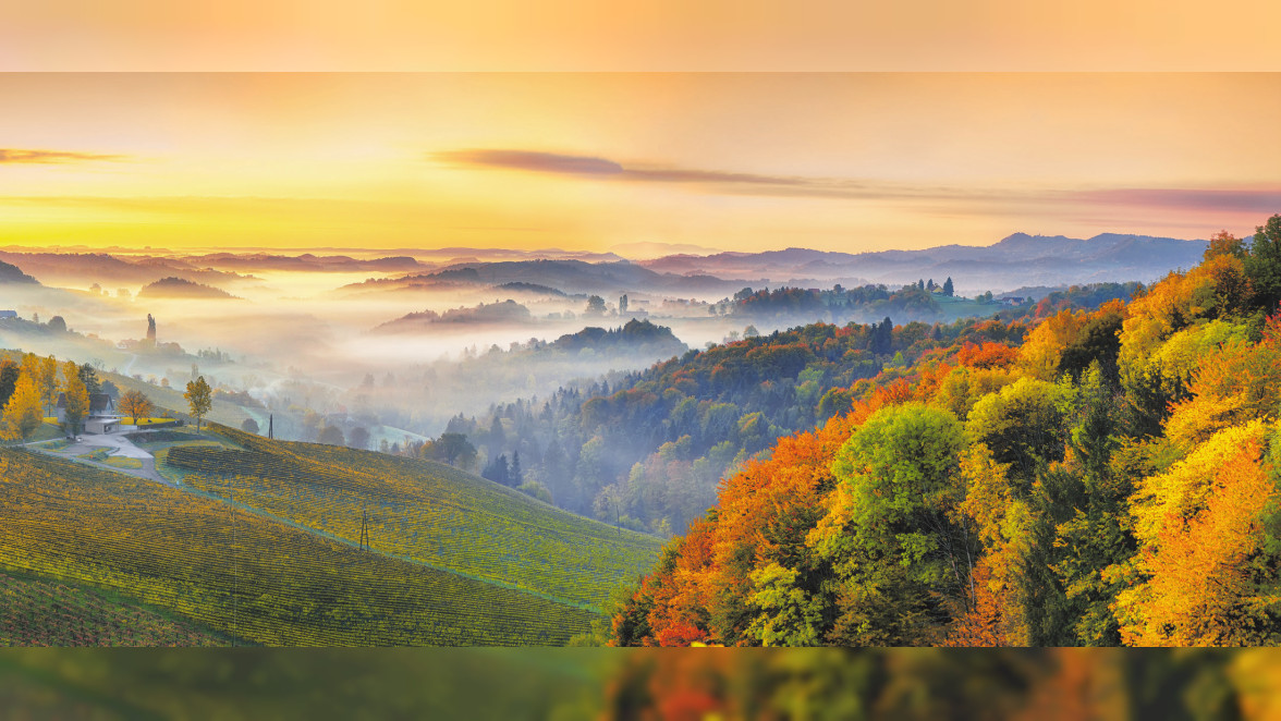 Goldene Herbsttage in Österreich. Foto: Shutterstock | Vadym Lavra