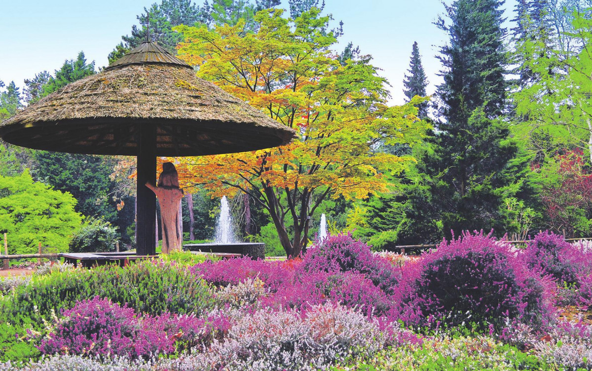 Im Forstbotanischen Garten sorgt der Herbst für ein prächtiges Farbenspiel