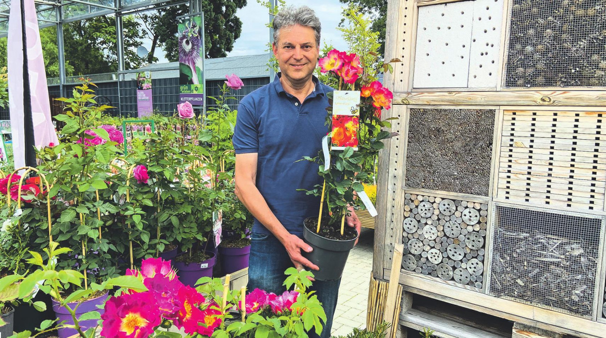 Am kommenden Wochenende begeht das Gartencenter Stassen 50-jähriges Bestehen