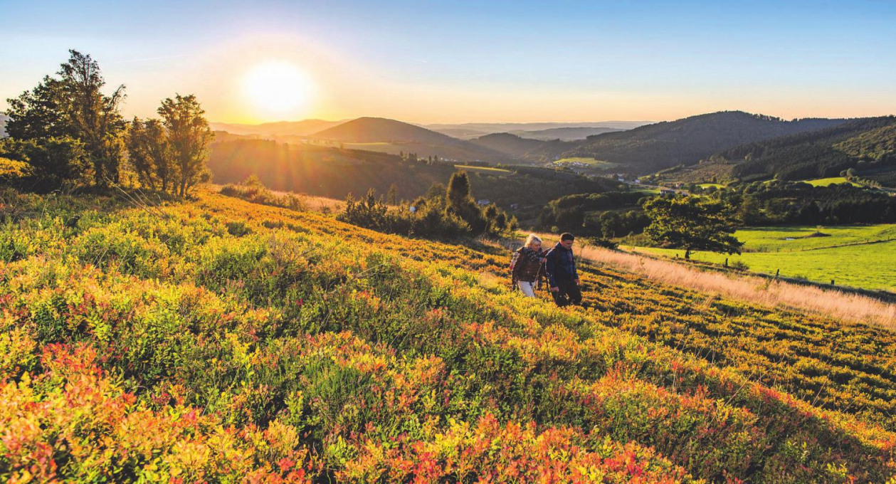 Den Indian Summer im Schmallenberger Sauerland erleben und besondere Genussmomente genießen