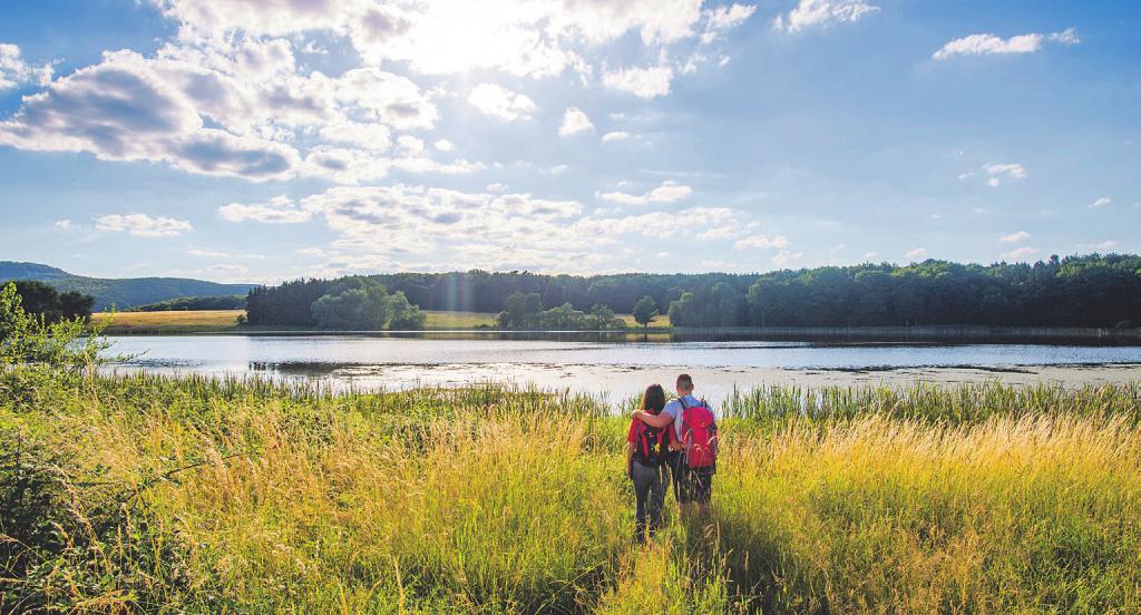 Das Gewässer liegt inmitten der idyllischen Eifellandschaft