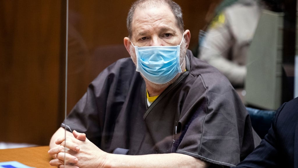 Harvey Weinstein, ehemaliger Filmproduzent aus den USA, während einer Anhörung vor Gericht in Los Angeles.