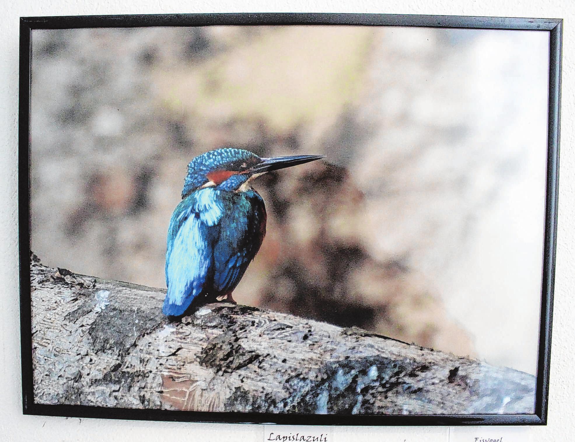 Fotografische Naturerlebnisse im Wasserturm-3