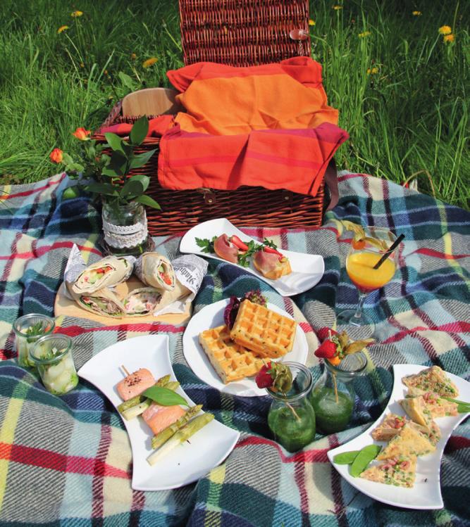 Picknickspaß mit Genießer-Schmankerl-2