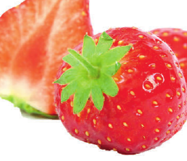 Gesund und lecker: Erdbeeren aus regionalem Anbau -2