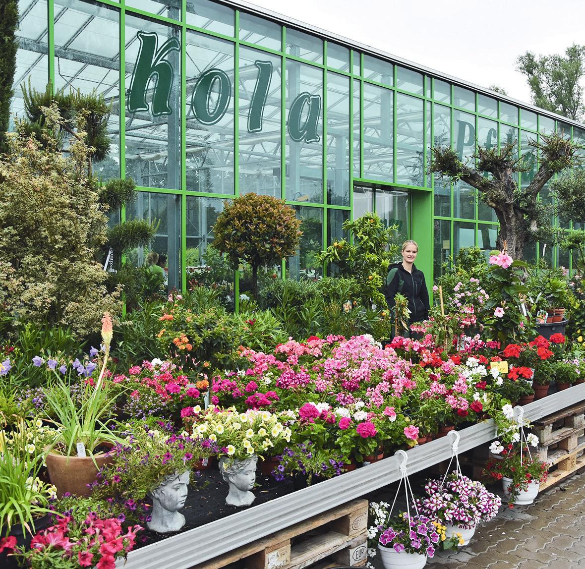 Peine Kola Garten und Landschaftsbau mit neuem Gartencenter Peiner