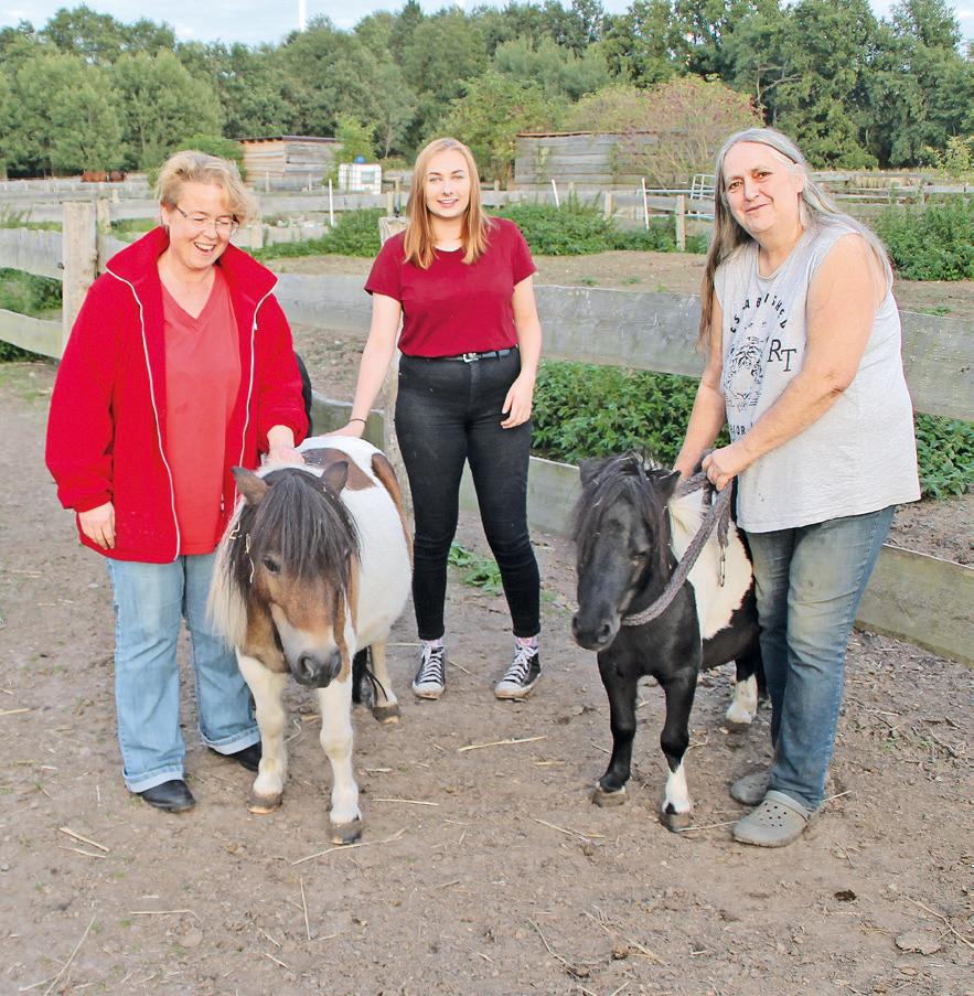 PAZ Arpker Pferde Gnadenhof Arche Marion Korroch sucht Helfer