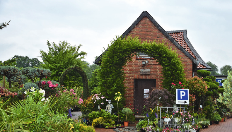 Peine Kola Garten und Landschaftsbau mit neuem Gartencenter Peiner