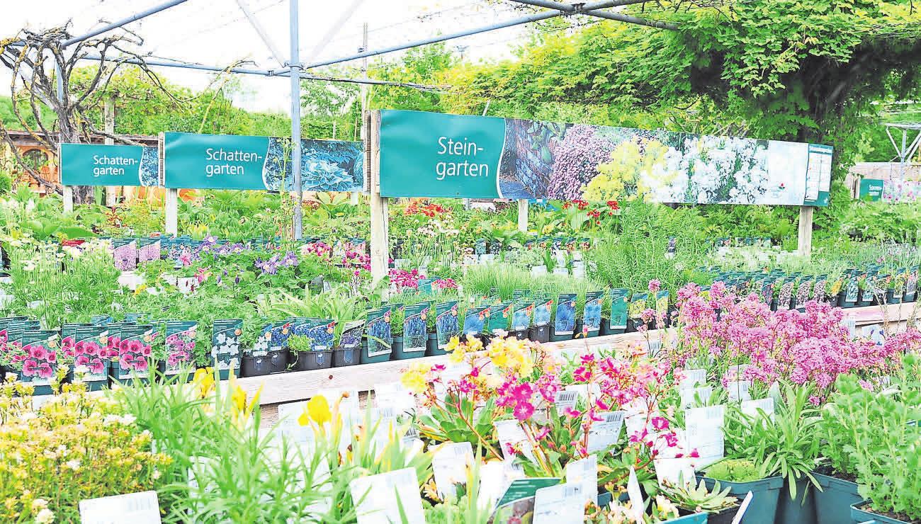 33+ Glende Gartenbau Hemmingen, Wir werden uns umgehend um ihr